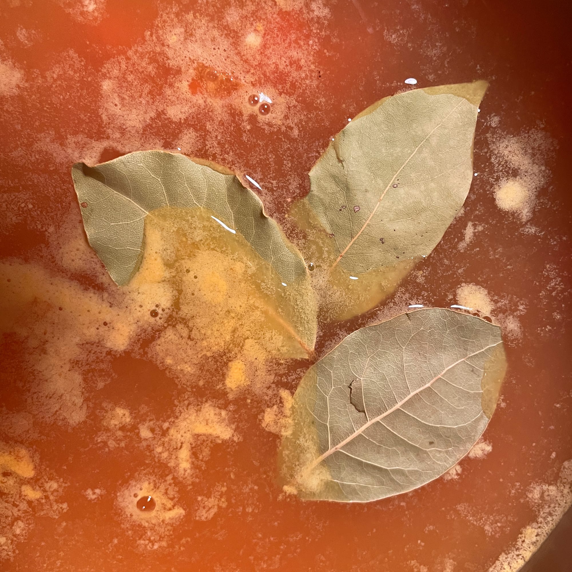 Leann's Seasonal Minestrone Soup